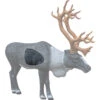 Rinehart 1/3 Scale Woodland Caribou Insert -Sports-Outdoor Hunting 1002252 1 78396.1680631454