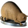 Rinehart Trash Panda Racoon Target -Sports-Outdoor Hunting 1002259 1 56353.1680631452
