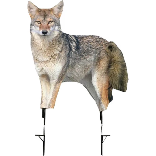 Montana Decoy Song Dog Coyote Decoy 3 Montana Decoy Song Dog Coyote Decoy