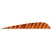 Gateway Parabolic Feathers Barred Orange 4 In. RW 50 Pk. -Sports-Outdoor Hunting 1407016 1 84141.1718220784