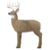 GlenDel Full-Rut Buck Target 2 GlenDel Full-Rut Buck Target -Sports-Outdoor Hunting 22914 1 46859.1644441230