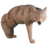 Rinehart Coyote Target -Sports-Outdoor Hunting 30765 1 83102.1698779560