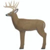 Shooter Buck Target 1 Shooter Buck Target -Sports-Outdoor Hunting 39608 1 02445.1656611312