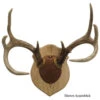 Walnut Hollow Antler Mounting Kit Solid Oak -Sports-Outdoor Hunting 57535 1 52999.1638888740