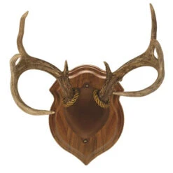 Walnut Hollow Deluxe Antler Display Kit Walnut