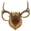 Walnut Hollow Deluxe Antler Display Kit Oak -Sports-Outdoor Hunting 65247 1 63785.1643124787