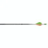 Easton 5mm Axis Arrows 600 Blazer Vanes 6 Pk. -Sports-Outdoor Hunting 69779 1 54358.1707417696