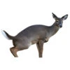Montana Decoy Estrus Betty Doe Decoy 1 Montana Decoy Estrus Betty Doe Decoy -Sports-Outdoor Hunting 70502 1 19287.1667242725