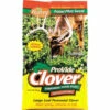 Evolved Habitats Provide Clover Food Plot 2 Pound Bag W/ Chicory 2 Evolved Habitats Provide Clover Food Plot 2 Pound Bag W/ Chicory -Sports-Outdoor Hunting 718571 1 30515.1545866964