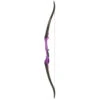 Fin Finder Bank Runner Bowfishing Recurve Purple 58 In. 35 Lbs. RH