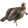 Avian X HDR Jake Decoy 2 Avian X HDR Jake Decoy -Sports-Outdoor Hunting 87477 1 55689.1657808760