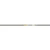 Gold Tip Kinetic Pierce Shafts 250 1 Doz. -Sports-Outdoor Hunting G971250 1 58430.1707422073